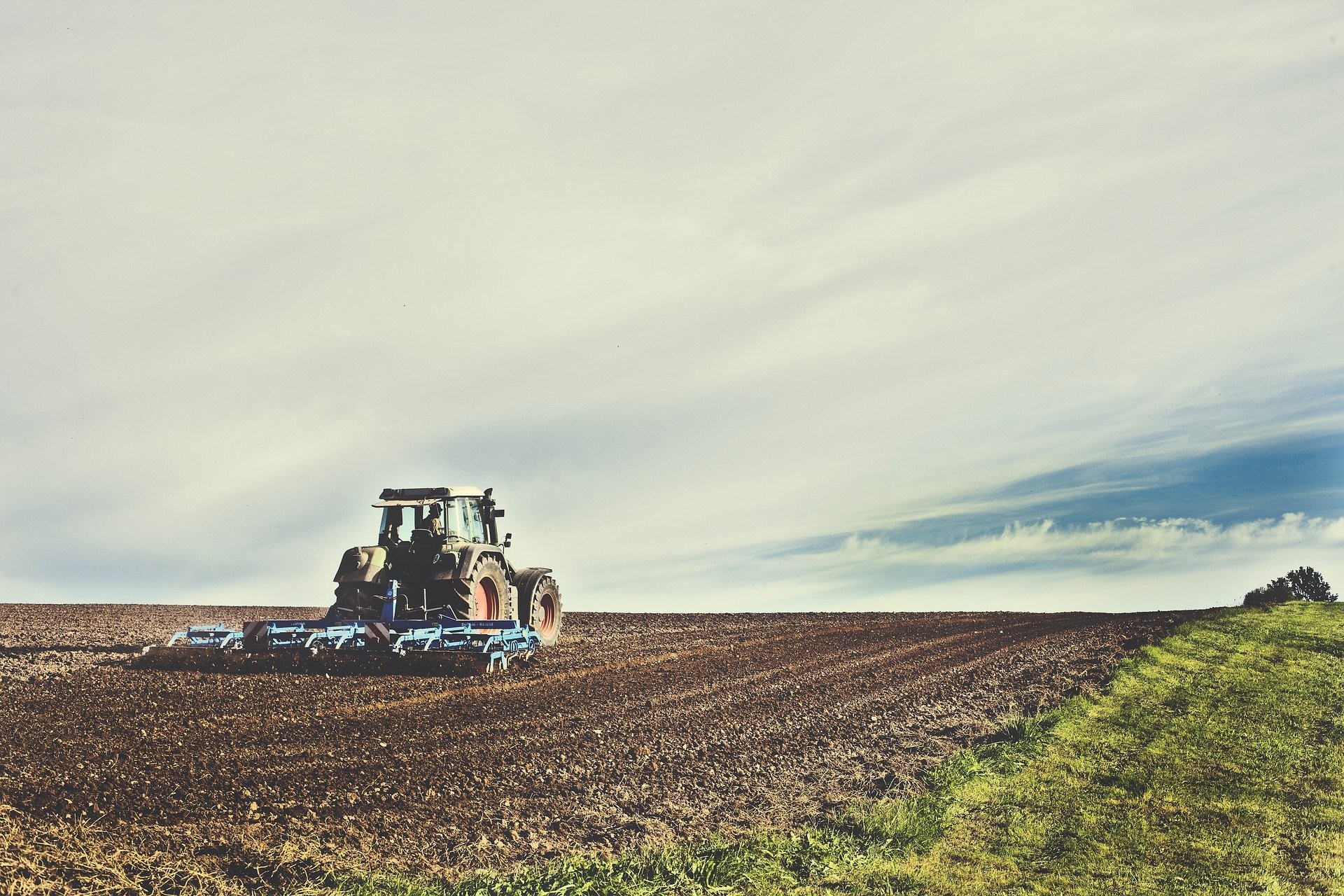 Confira o Mercado Agrícola desta sexta-feira (11)