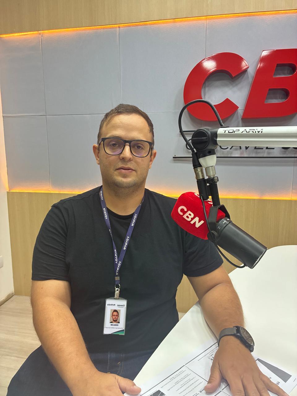 Brucelose gera prejuízo de cerca de R$ 1 bilhão por ano à pecuária brasileira