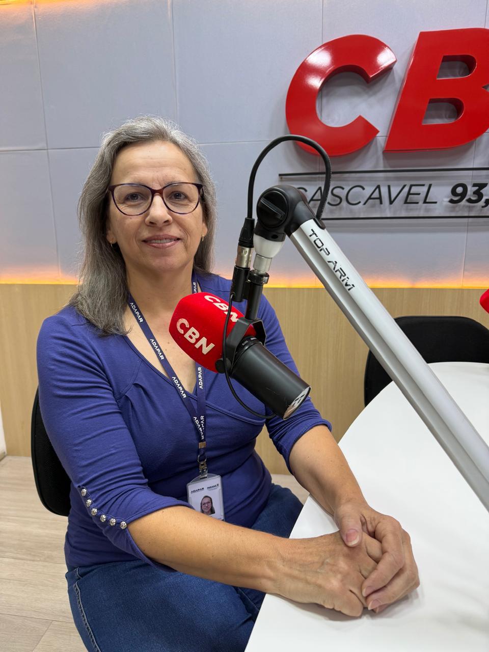 Cascavel integra lista para vacinação obrigatória de rebanhos contra a raiva