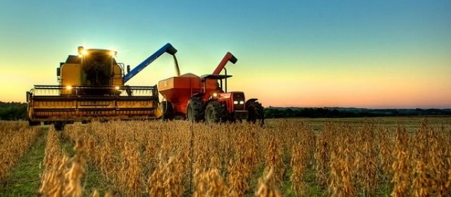 Mercado Mundial: "O mais importante é você ser aceito", diz Dilvo Grolli