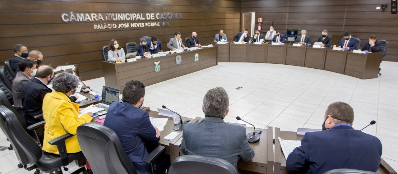 Reunião conjunta das comissões ouve prestações de contas sobre gastos durante a pandemia