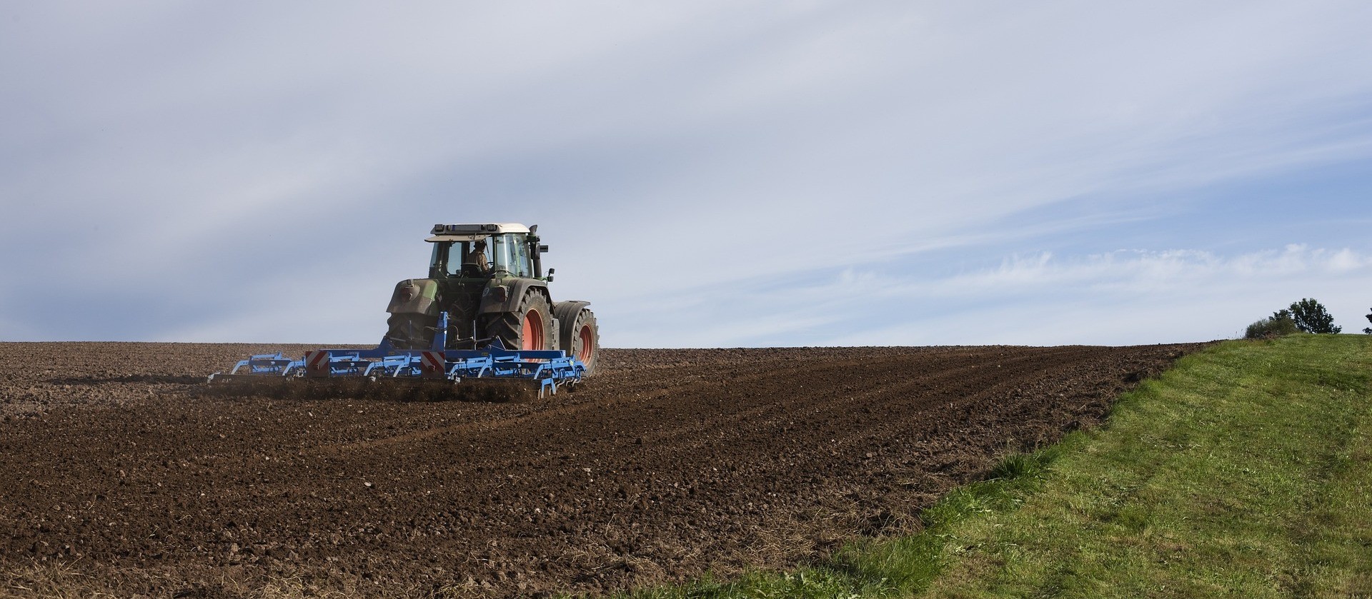 PIB da agropecuária deve fechar 2022 com crescimento de 2,8%