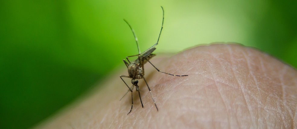 Ações contra a dengue são reforçadas no interior de Cascavel