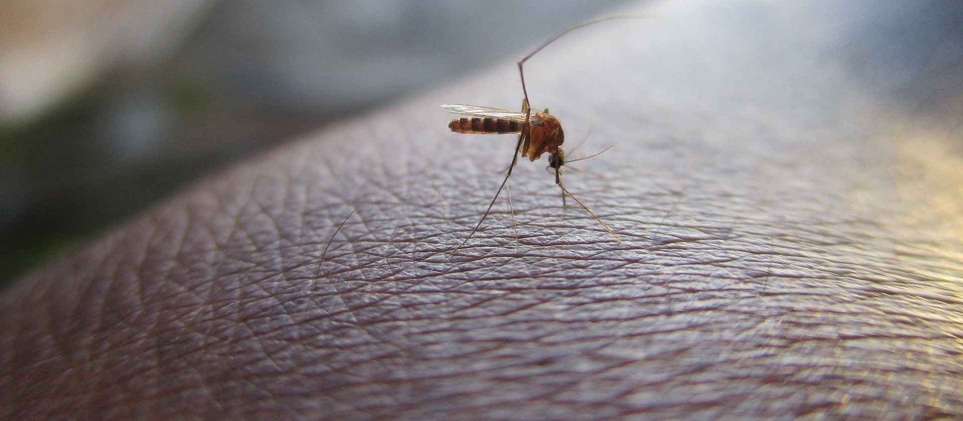Cascavel confirma 28 casos de dengue em 51 dias do novo ciclo epidemiológico