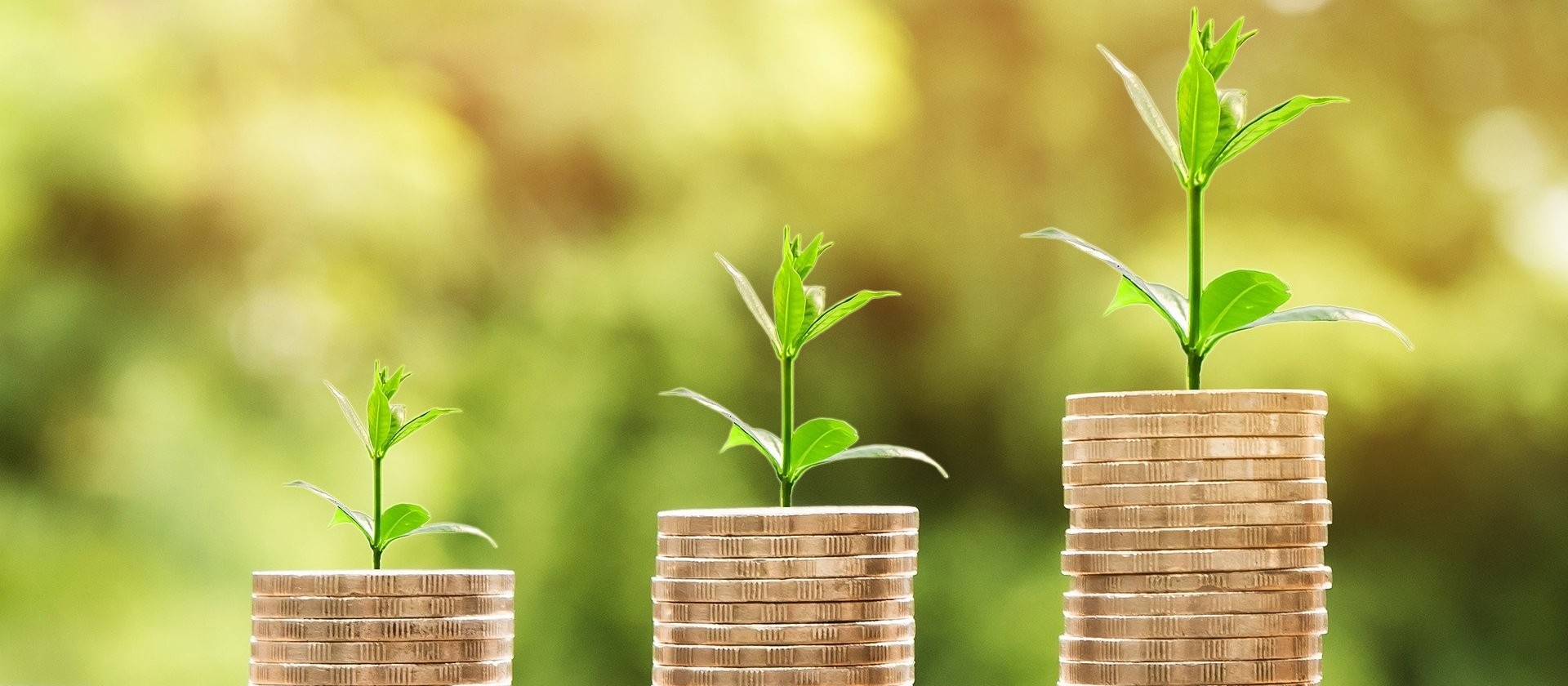 Como planejar e fazer gasto consciente?