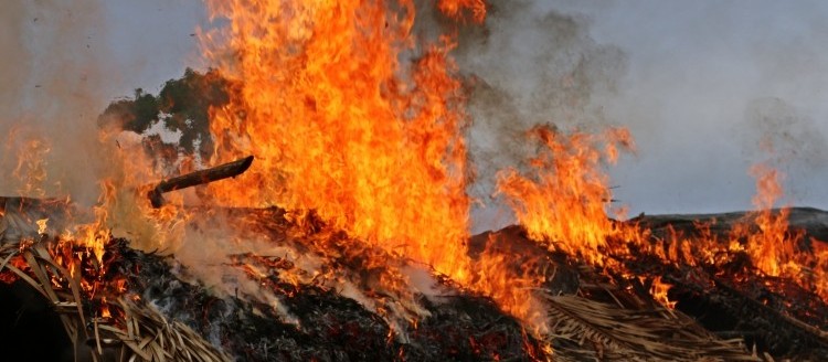 6 vezes mais incêndios são registrados em agosto de 2019, comparado a agosto de 2018