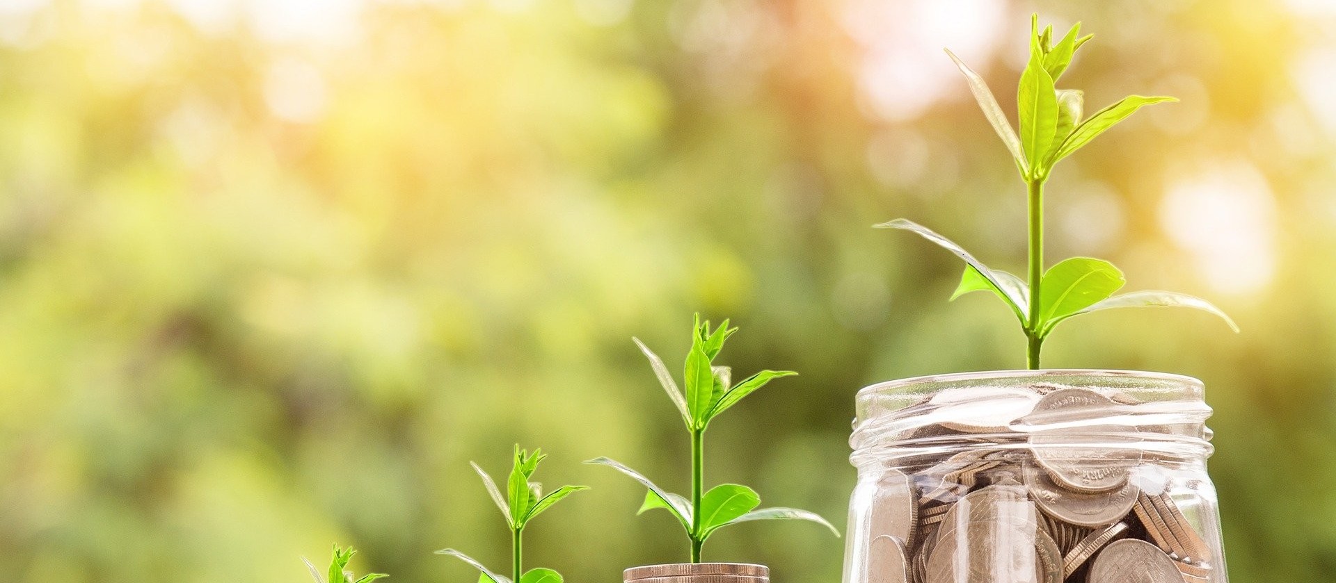 Empresa troca pontos na compra de produtos por benefícios para o agricultor