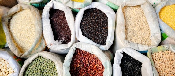 Produção nacional de grãos é estimada em 241,3 milhões de toneladas