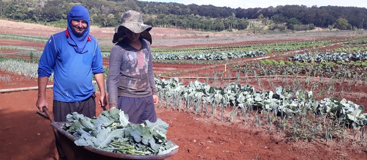 Produtores Orgânicos passam por vistoria para obtenção de certificação