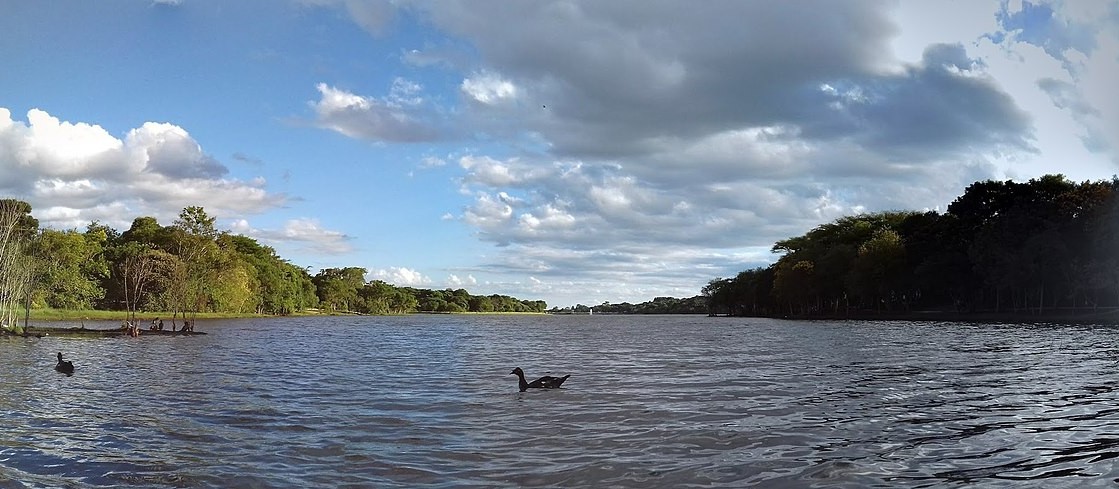 Secretaria Municipal de Meio Ambiente fará ações no Dia do Rio 