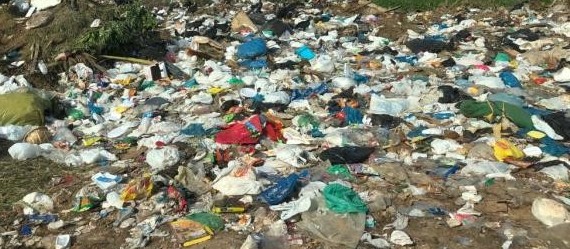 No aterro de Maringá, máquina faz separação de orgânicos e recicláveis