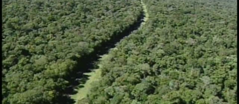 STF nega reabertura da Estrada do Colono