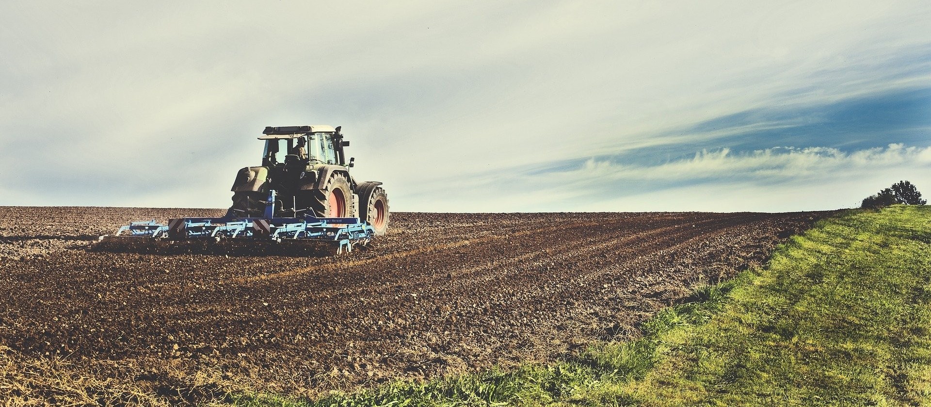 Confira o Mercado Agrícola desta sexta-feira (11)