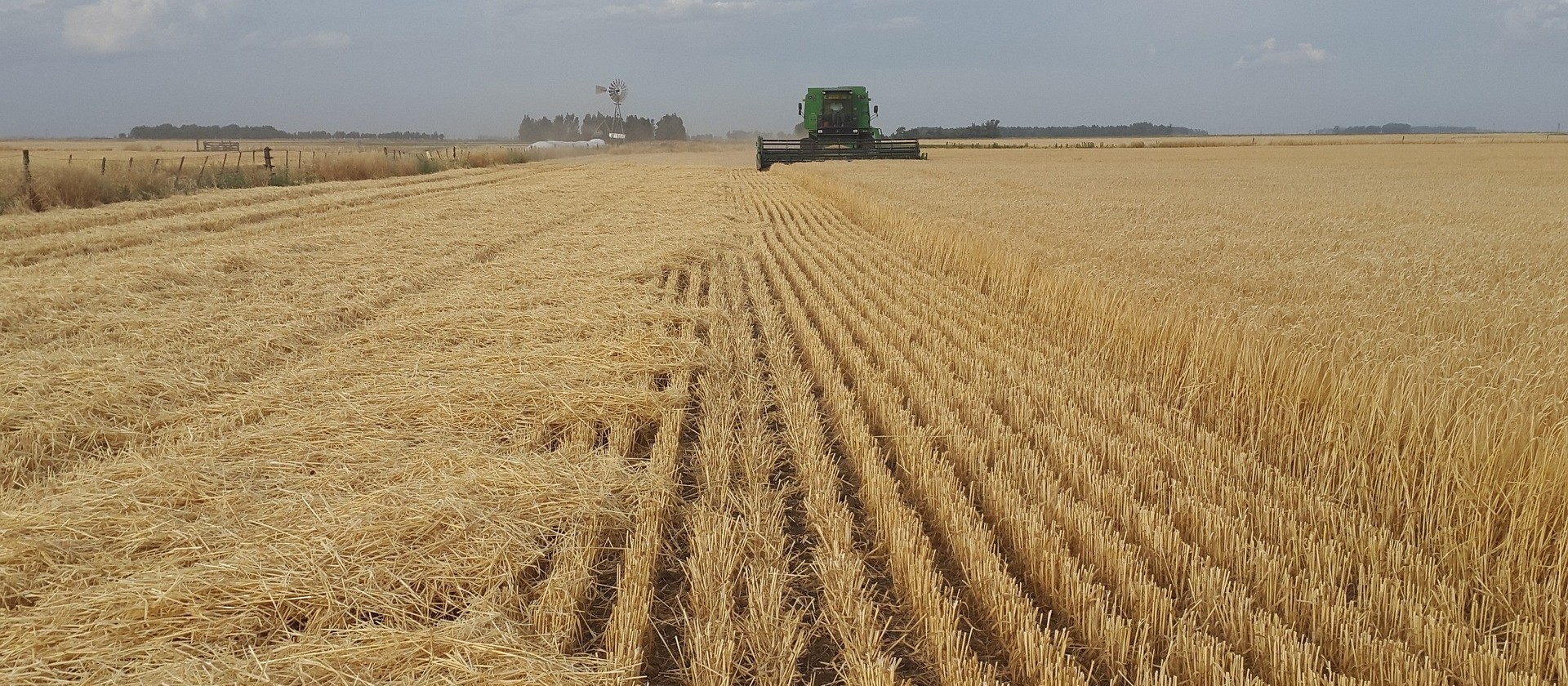 Contratações do crédito rural chega a R$ 151 bilhões até outubro