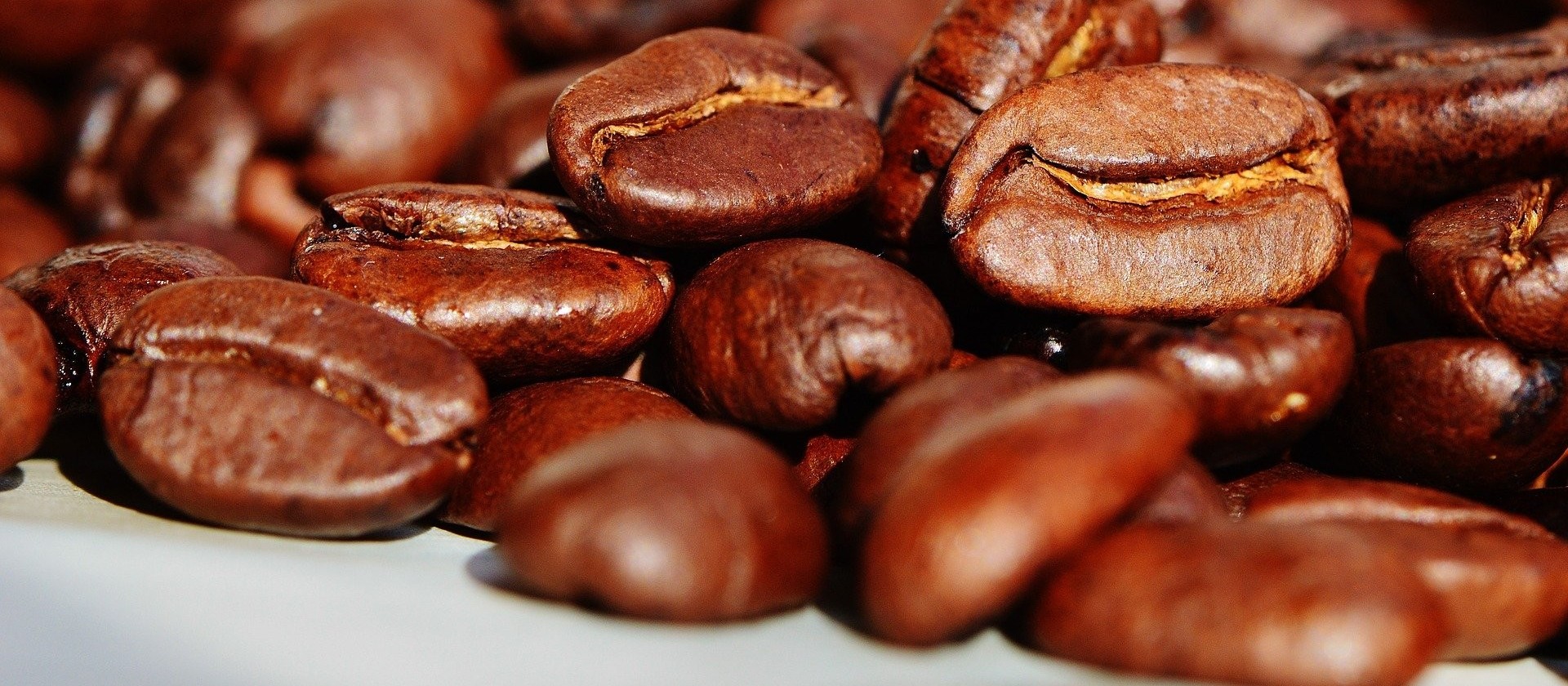 Segue de forma lenta colheita do café