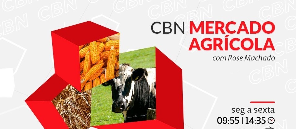 Confira o Mercado Agrícola