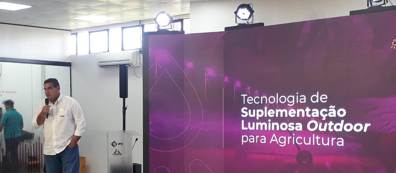 Taxa fotossintética ajuda plantas a produzir mais