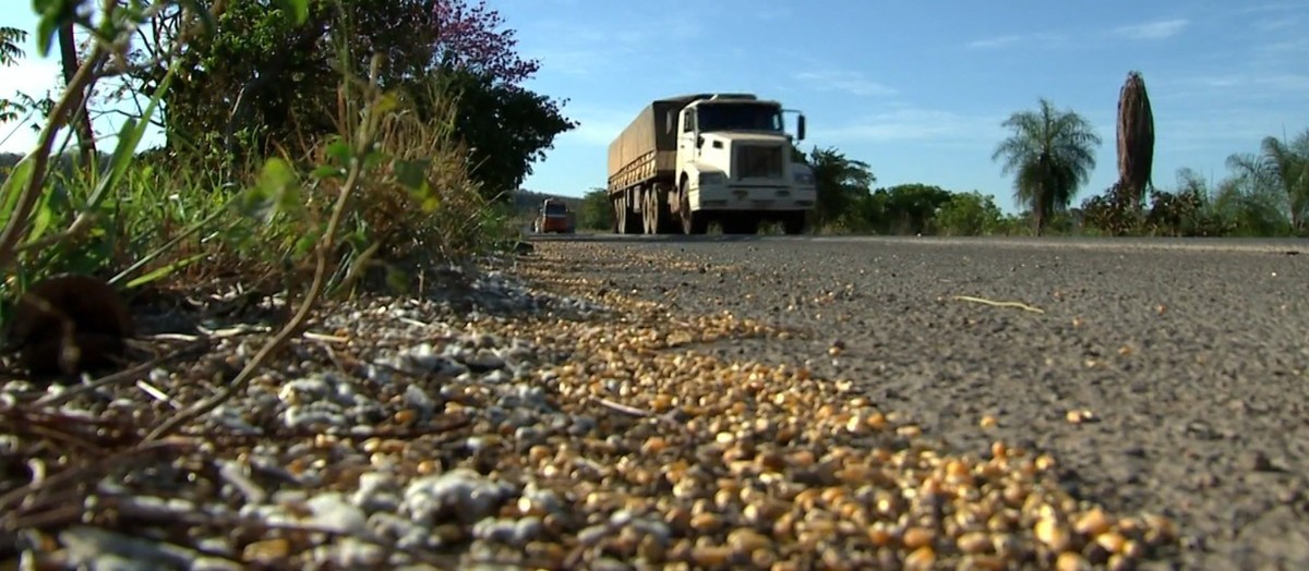 Das rodovias até os portos, Brasil perde 0,17% do trigo