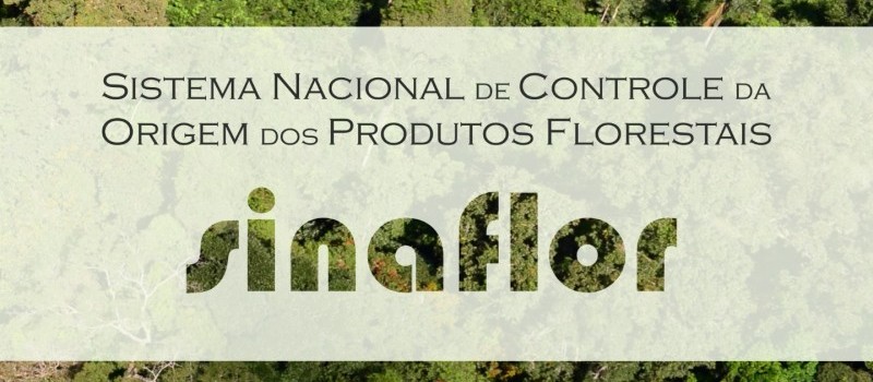 Sinaflor: Paraná é o maior número de empreendimentos cadastrados no sistema