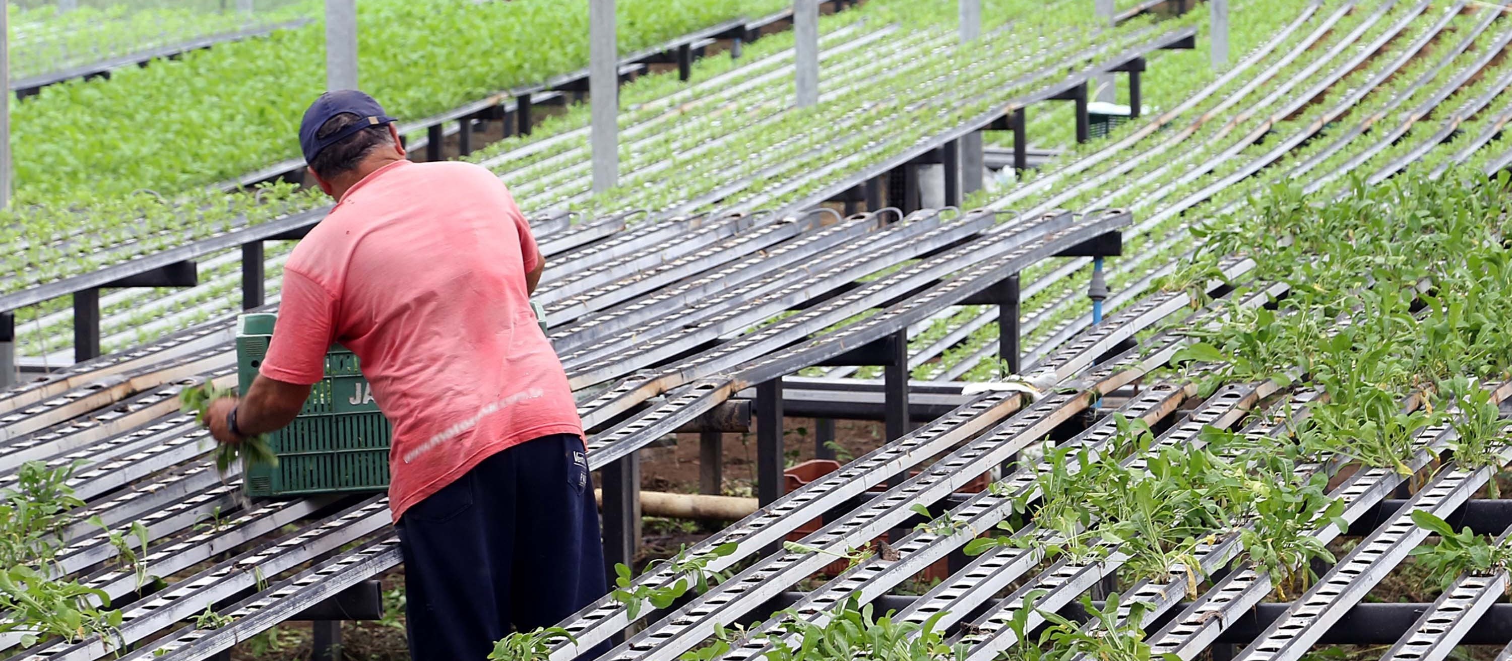 Governo estadual pede ajuda para produtores rurais paranaenses