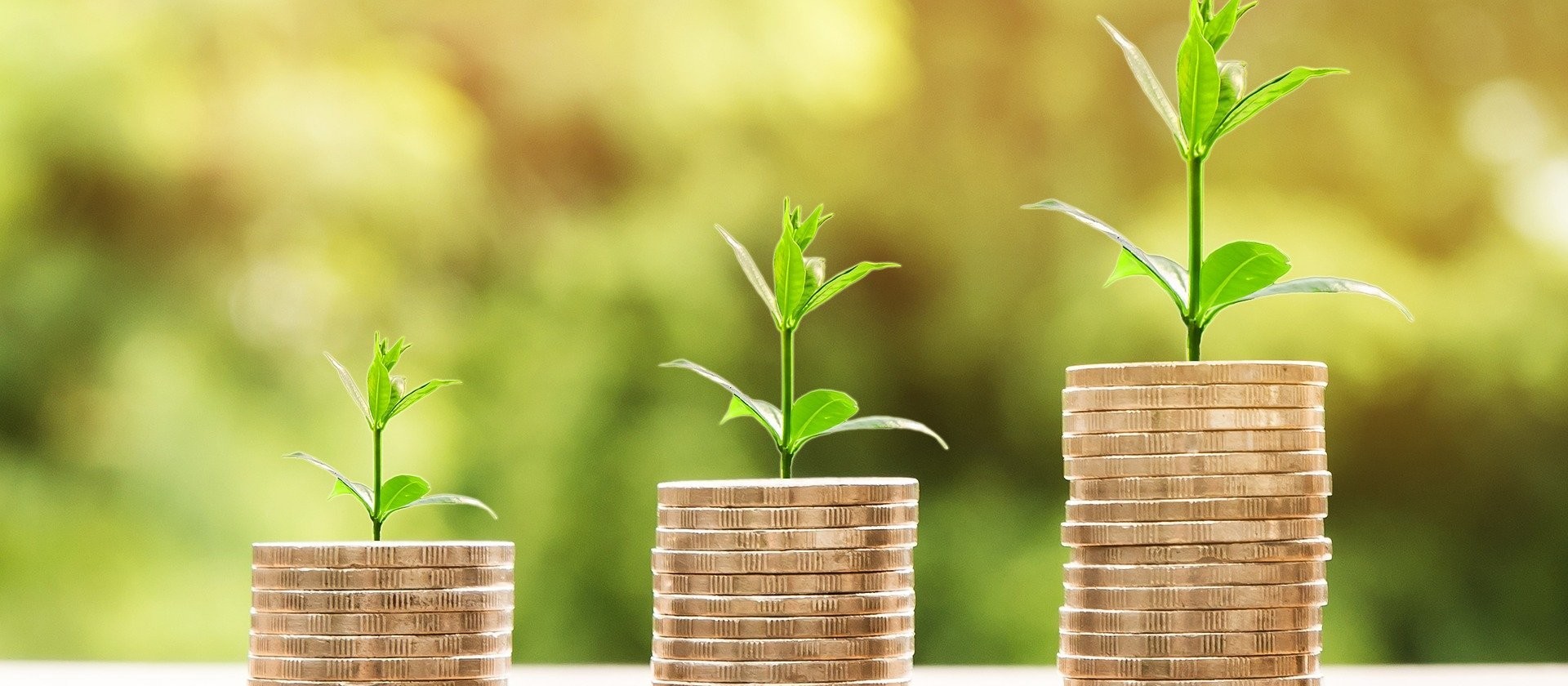 Fomento Paraná reduz taxas de juros do microcrédito