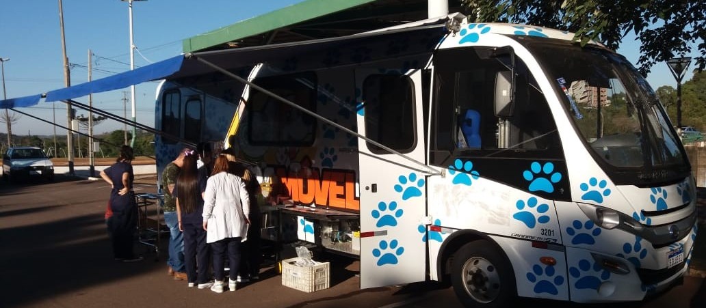 Mais de 1200 atendimentos a cães e gatos já receberam procedimento de esterilização em Cascavel