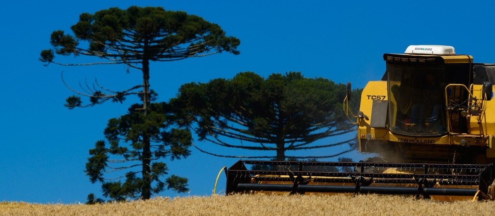 PIB do Paraná apresenta crescimento de 2,3% no primeiro trimestre de 2020