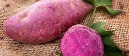 Batata doce está mais cara no mercado
