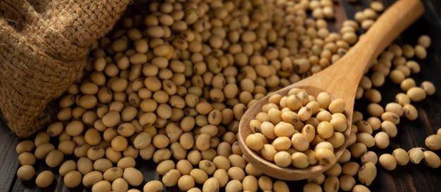 Brasil se consolida como o maior produtor de soja em 2018