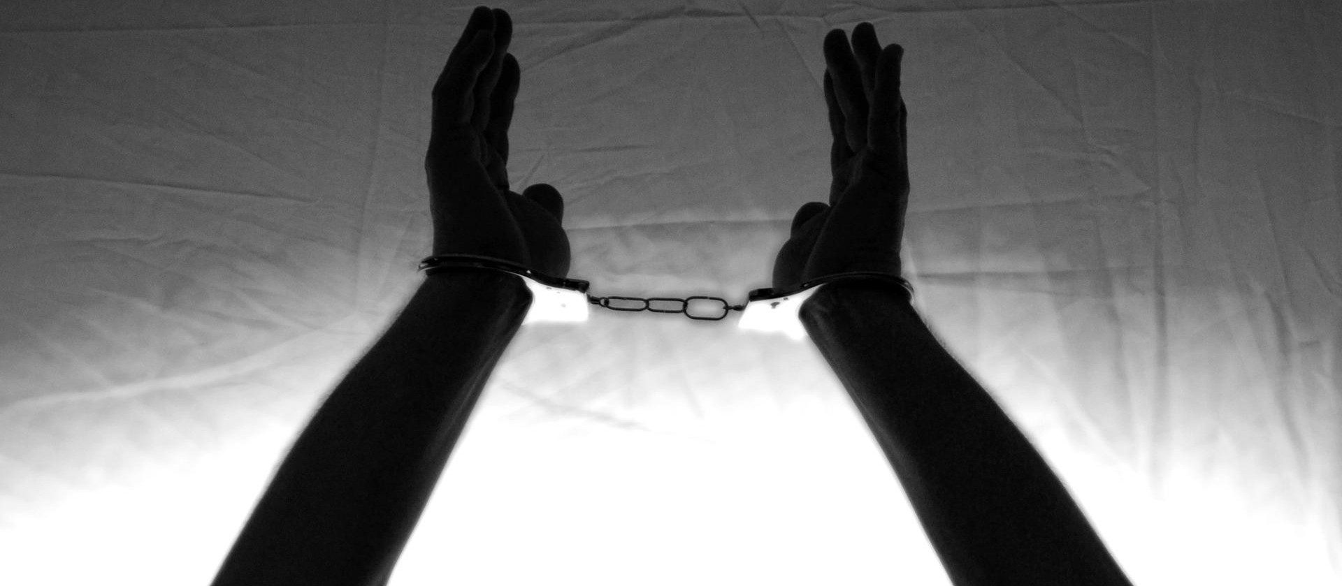 Ação contra trabalho escravo liberta 337 pessoas