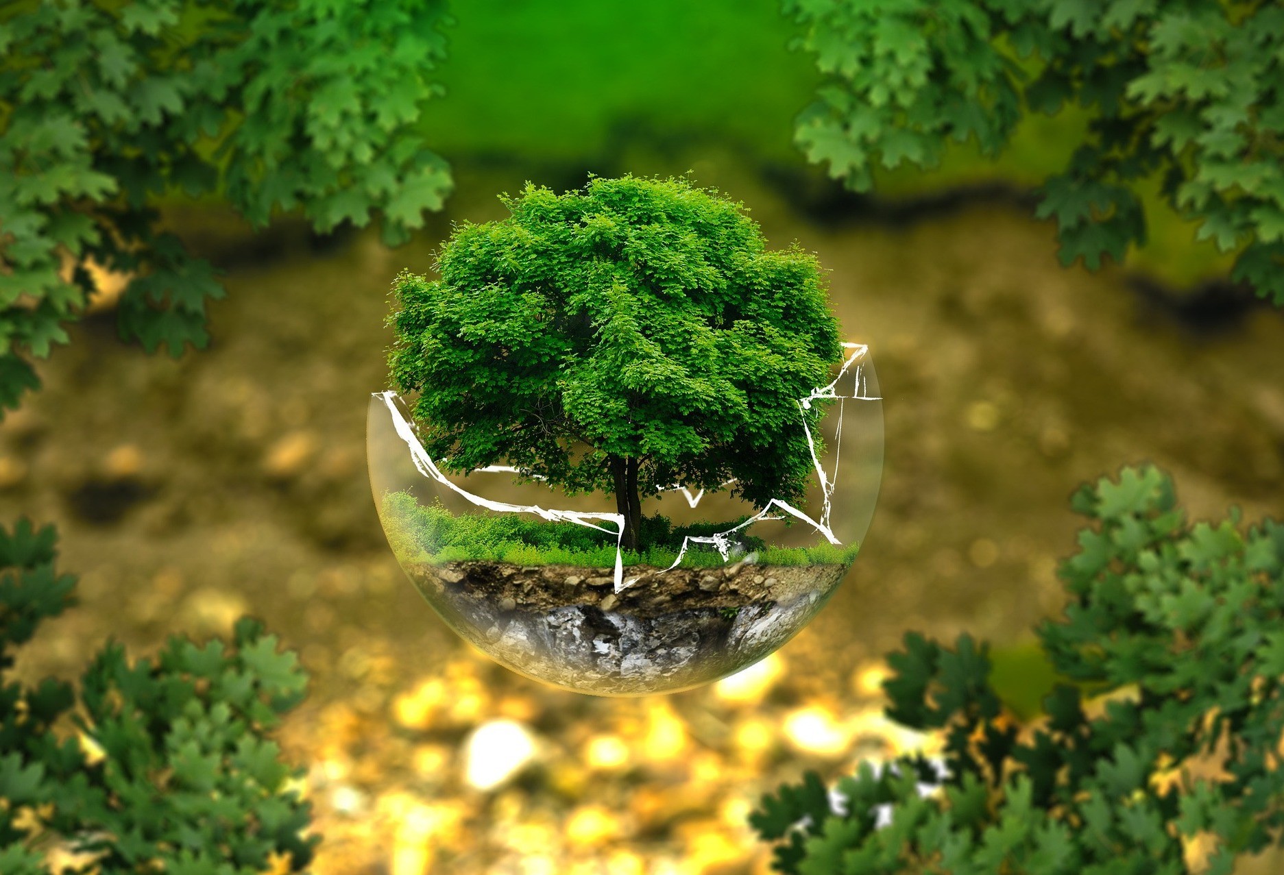 Atitudes no dia a dia podem diminuir impactos ambientais 