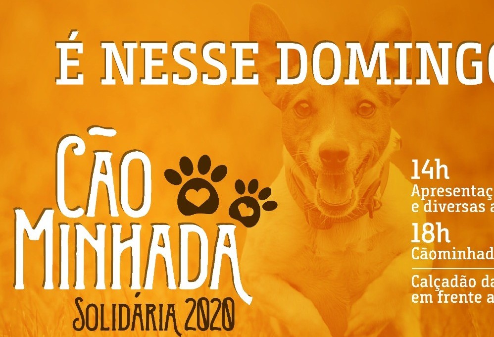 Fim de semana terá Cãominhada em Cascavel
