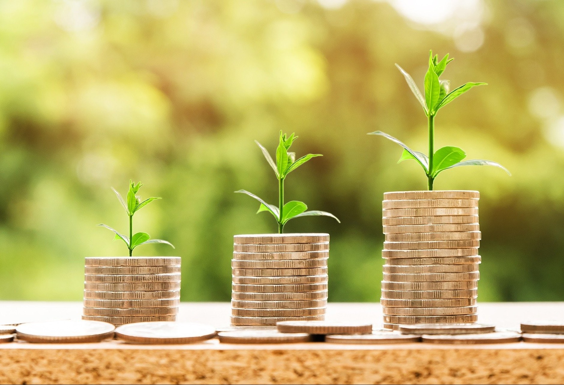 Como planejar e fazer gasto consciente?