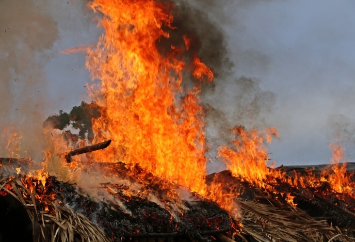 6 vezes mais incêndios são registrados em agosto de 2019, comparado a agosto de 2018