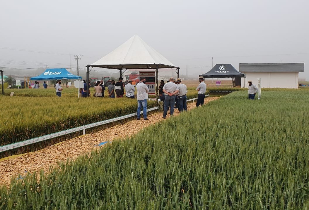 Começa nesta terça edição de inverno do Show Rural 