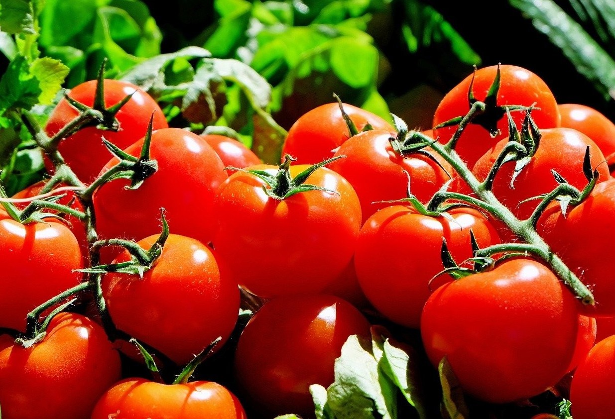 Limão e tomate são os itens mais caros nesta semana 