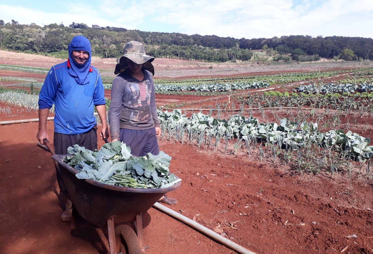 Produtores Orgânicos passam por vistoria para obtenção de certificação