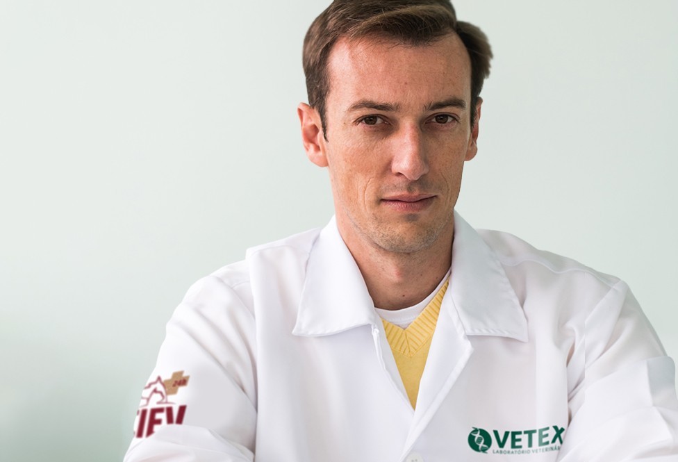 Laboratório veterinário cria “Delivery” de doação de sangue de animais de estimação