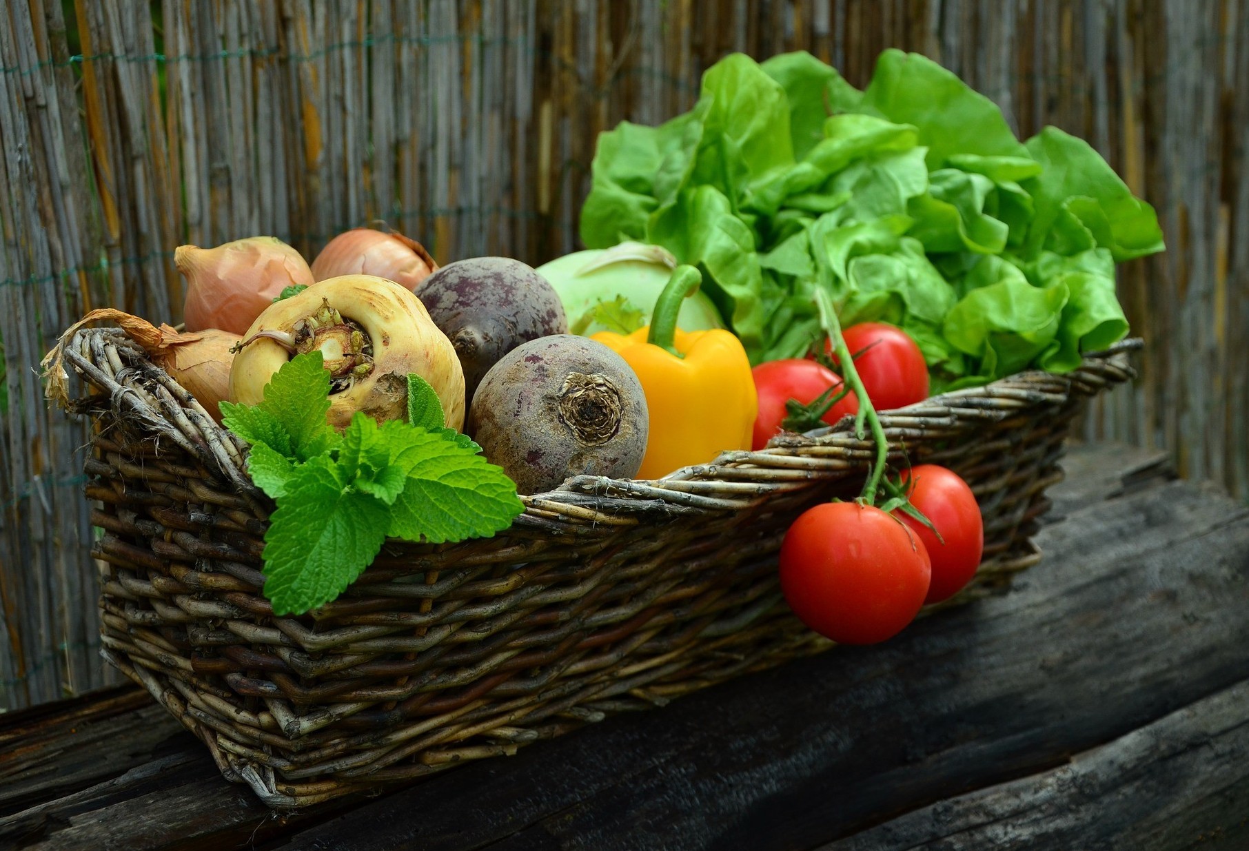 Tomate, pepino e ovos apresentam redução de preços nesta semana 