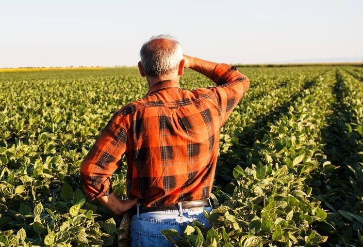 Comissão aprova novo prazo para regularização rural