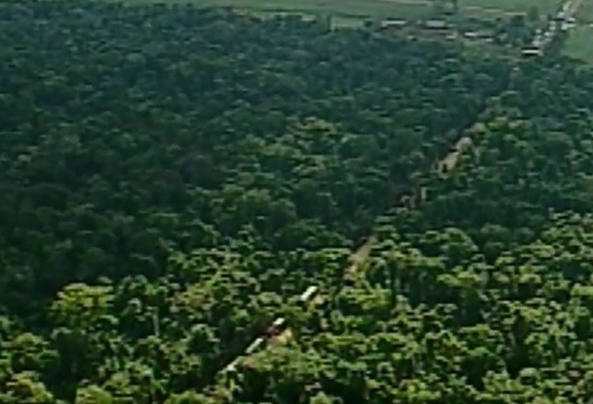 MPPR é contrário ao Projeto de Lei de reabertura da Estrada do Colono