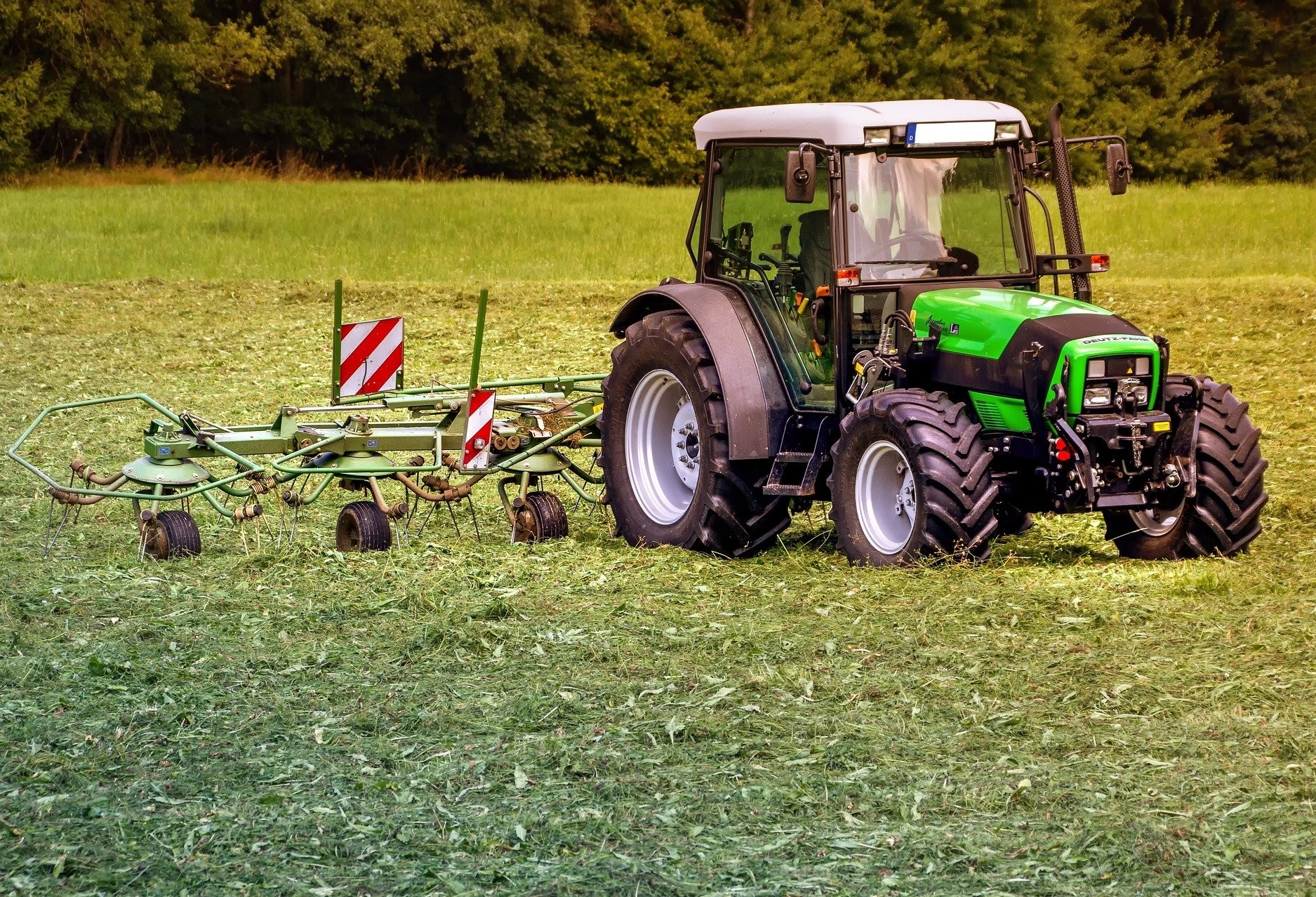 Confira o Mercado Agrícola desta sexta-feira (18) 