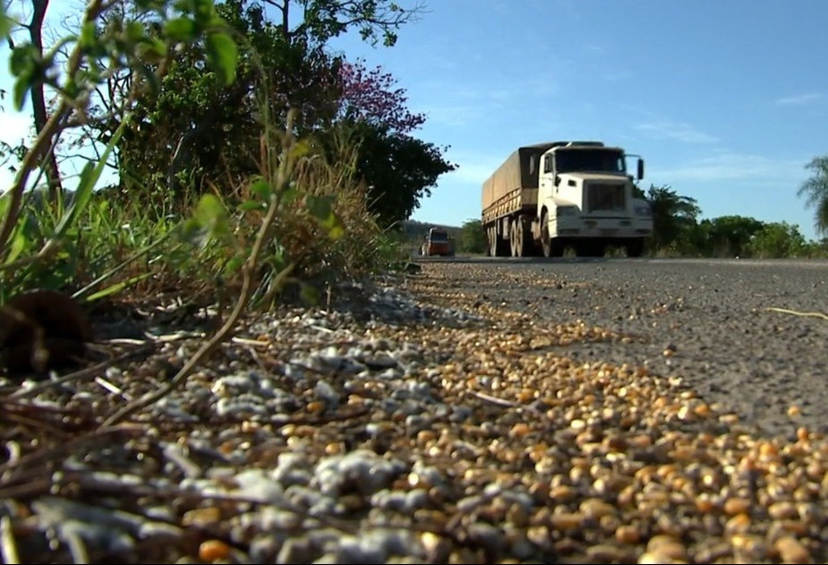 Das rodovias até os portos, Brasil perde 0,17% do trigo