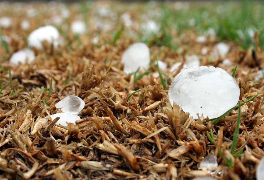 Chuva de granizo causa prejuízos nas lavouras e no setor leiteiro da região Oeste 