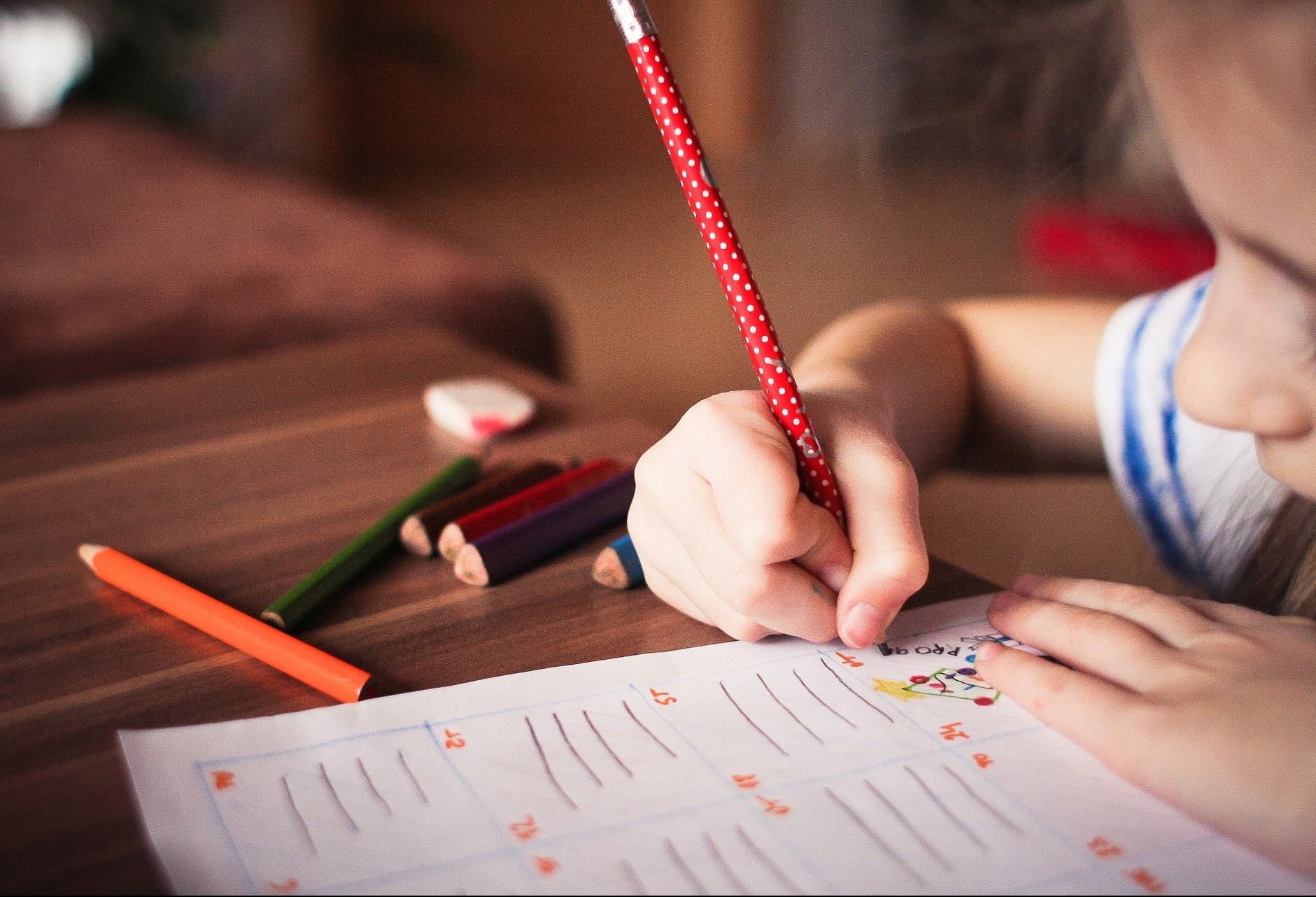 Volta às aulas: retorno dos alunos está programado para o dia 8 de fevereiro