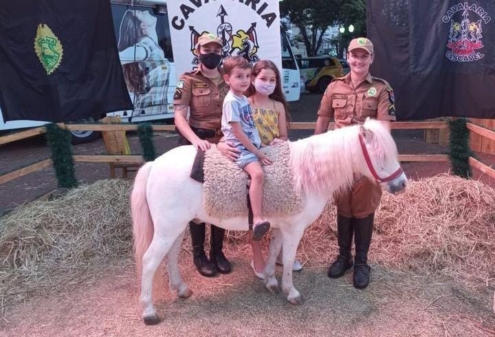 Pônei fará diversão da criançada no Centro de Cascavel