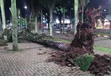 Defesa Civil alerta para risco de chuva intensa e raios