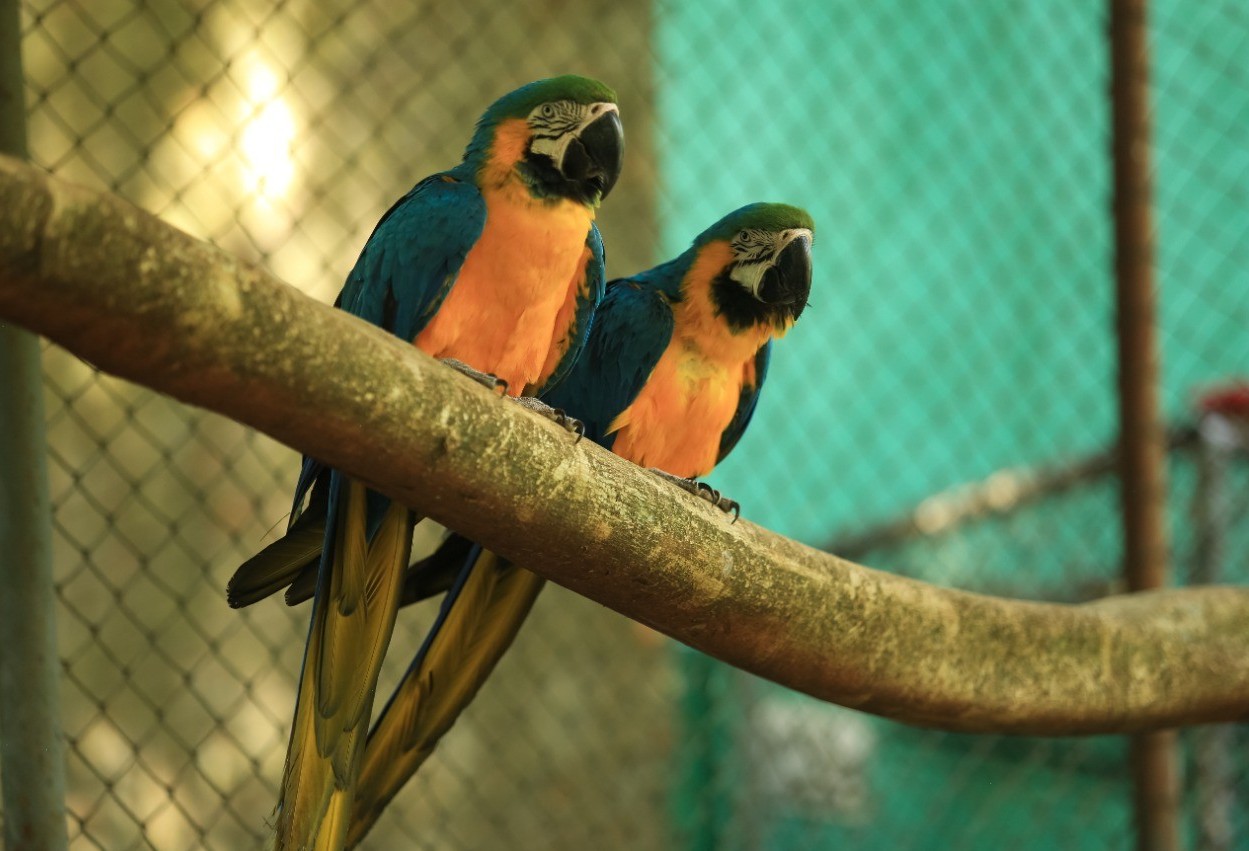 Zoológico de Cascavel bate recorde  e deve chegar a marca de 40 mil visitantes no mês de julho