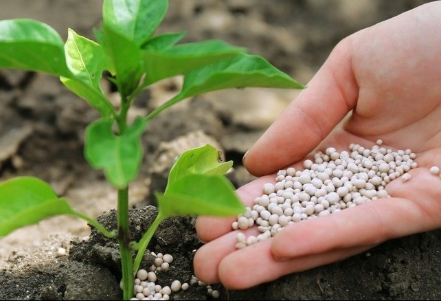 Fertilizantes nitrogenados tiveram alta de 61% em 2021