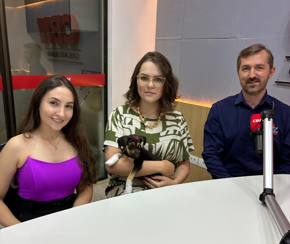 Foz Tintas cria cores inspiradas em cães de abrigo para apoiar causa animal